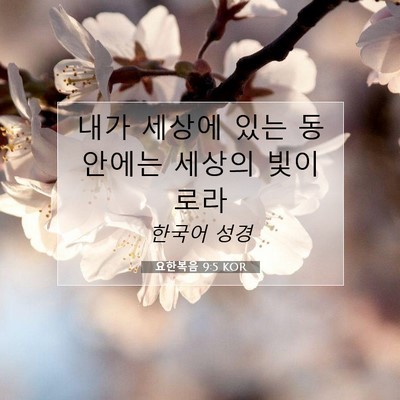 Picture 07 - 요한복음 9:5 KOR - 내가 세상에 있는 동안에는 세상의 - Bible Verse Picture