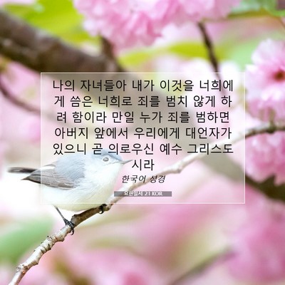 Picture 07 - 요한일서 2:1 KOR - 나의 자녀들아 내가 이것을 너희에게 - Bible Verse Picture