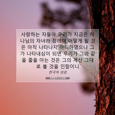 Picture 07 - 요한일서 3:2 KOR - 사랑하는 자들아 우리가 지금은 - Bible Verse Picture