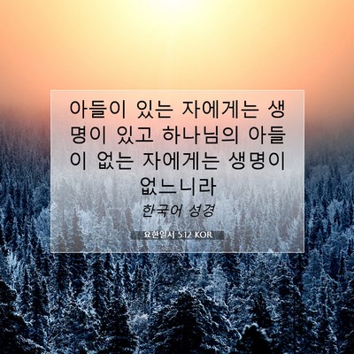 Picture 07 - 요한일서 5:12 KOR - 아들이 있는 자에게는 생명이 있고 - Bible Verse Picture