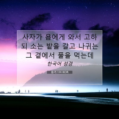 Picture 07 - 욥기 1:14 KOR - 사자가 욥에게 와서 고하되 소는 - Bible Verse Picture