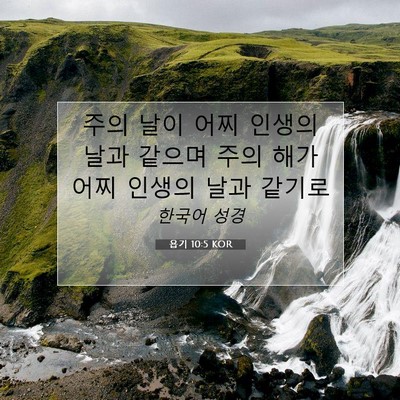 Picture 07 - 욥기 10:5 KOR - 주의 날이 어찌 인생의 날과 같으며 - Bible Verse Picture