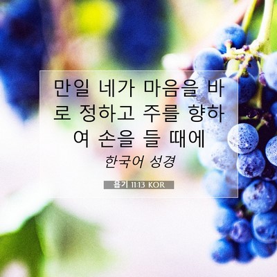 Picture 07 - 욥기 11:13 KOR - 만일 네가 마음을 바로 정하고 주를 - Bible Verse Picture