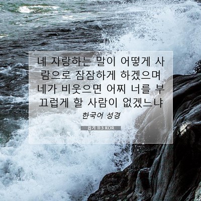 Picture 07 - 욥기 11:3 KOR - 네 자랑하는 말이 어떻게 사람으로 - Bible Verse Picture