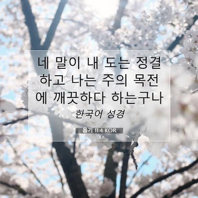Picture 07 - 욥기 11:4 KOR - 네 말이 내 도는 정결하고 나는 주의 - Bible Verse Picture