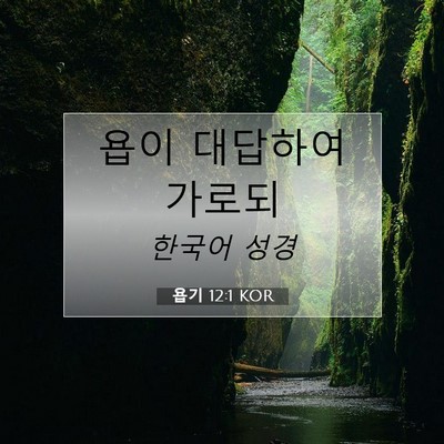 Picture 07 - 욥기 12:1 KOR - 욥이 대답하여 - Bible Verse Picture