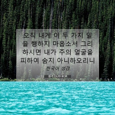 Picture 07 - 욥기 13:20 KOR - 오직 내게 이 두 가지 일을 행하지 - Bible Verse Picture