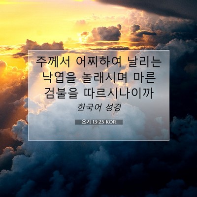 Picture 07 - 욥기 13:25 KOR - 주께서 어찌하여 날리는 낙엽을 - Bible Verse Picture