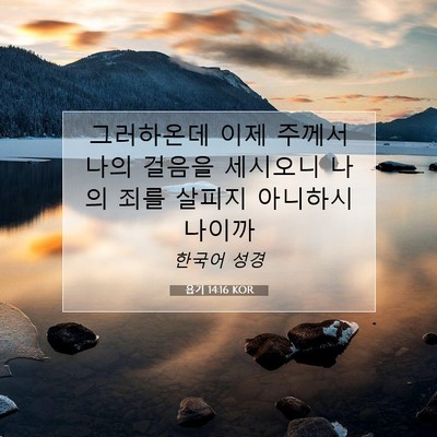 Picture 07 - 욥기 14:16 KOR - 그러하온데 이제 주께서 나의 걸음을 - Bible Verse Picture
