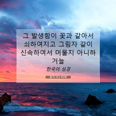 Picture 07 - 욥기 14:2 KOR - 그 발생함이 꽃과 같아서 쇠하여지고 - Bible Verse Picture