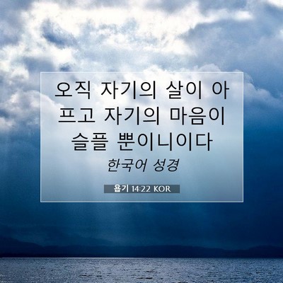Picture 07 - 욥기 14:22 KOR - 오직 자기의 살이 아프고 자기의 - Bible Verse Picture