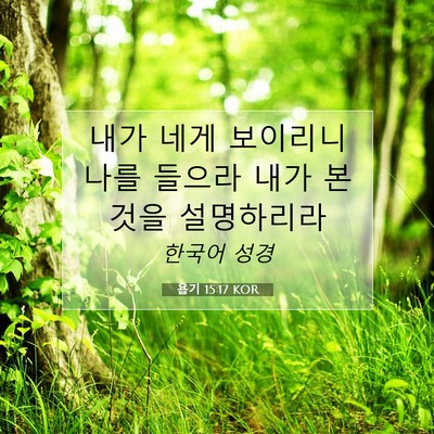 Picture 07 - 욥기 15:17 KOR - 내가 네게 보이리니 나를 들으라 - Bible Verse Picture
