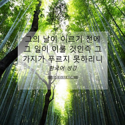 Picture 07 - 욥기 15:32 KOR - 그의 날이 이르기 전에 그 일이 이룰 - Bible Verse Picture