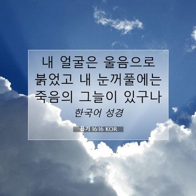 Picture 07 - 욥기 16:16 KOR - 내 얼굴은 울음으로 붉었고 내 - Bible Verse Picture
