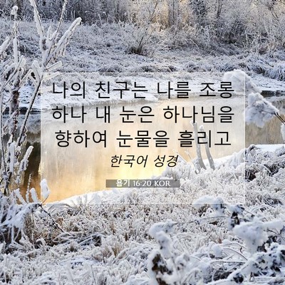 Picture 07 - 욥기 16:20 KOR - 나의 친구는 나를 조롱하나 내 눈은 - Bible Verse Picture