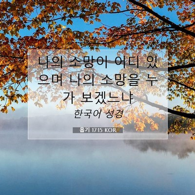 Picture 07 - 욥기 17:15 KOR - 나의 소망이 어디 있으며 나의 - Bible Verse Picture