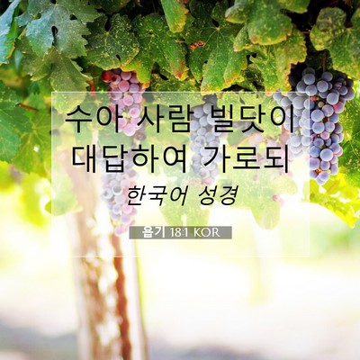 Picture 07 - 욥기 18:1 KOR - 수아 사람 빌닷이 대답하여 - Bible Verse Picture