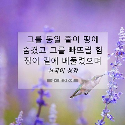 Picture 07 - 욥기 18:10 KOR - 그를 동일 줄이 땅에 숨겼고 그를 - Bible Verse Picture