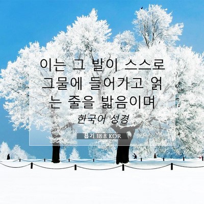 Picture 07 - 욥기 18:8 KOR - 이는 그 발이 스스로 그물에 - Bible Verse Picture