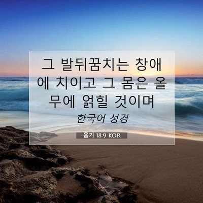 Picture 07 - 욥기 18:9 KOR - 그 발뒤꿈치는 창애에 치이고 그 - Bible Verse Picture