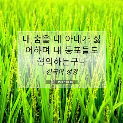 Picture 07 - 욥기 19:17 KOR - 내 숨을 내 아내가 싫어하며 내 - Bible Verse Picture
