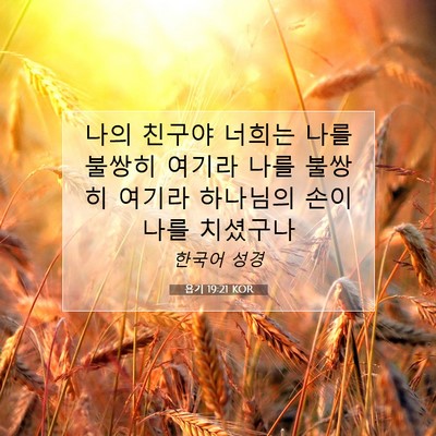 Picture 07 - 욥기 19:21 KOR - 나의 친구야 너희는 나를 불쌍히 - Bible Verse Picture
