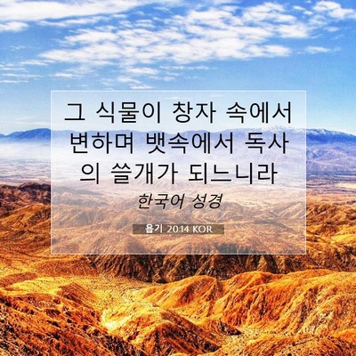 Picture 07 - 욥기 20:14 KOR - 그 식물이 창자 속에서 변하며 - Bible Verse Picture