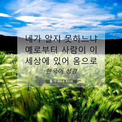 Picture 07 - 욥기 20:4 KOR - 네가 알지 못하느냐 예로부터 사람이 - Bible Verse Picture