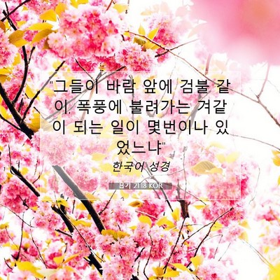 Picture 07 - 욥기 21:18 KOR - 