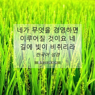 Picture 07 - 욥기 22:28 KOR - 네가 무엇을 경영하면 이루어질 - Bible Verse Picture