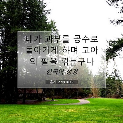 Picture 07 - 욥기 22:9 KOR - 네가 과부를 공수로 돌아가게 하며 - Bible Verse Picture