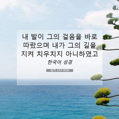 Picture 07 - 욥기 23:11 KOR - 내 발이 그의 걸음을 바로 따랐으며 - Bible Verse Picture
