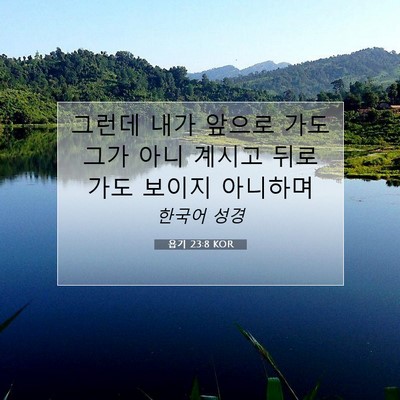 Picture 07 - 욥기 23:8 KOR - 그런데 내가 앞으로 가도 그가 아니 - Bible Verse Picture