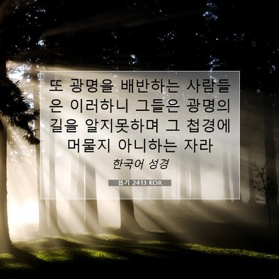 Picture 07 - 욥기 24:13 KOR - 또 광명을 배반하는 사람들은 - Bible Verse Picture