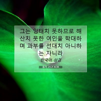 Picture 07 - 욥기 24:21 KOR - 그는 잉태치 못하므로 해산치 못한 - Bible Verse Picture