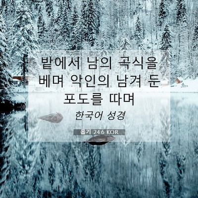 Picture 07 - 욥기 24:6 KOR - 밭에서 남의 곡식을 베며 악인의 - Bible Verse Picture