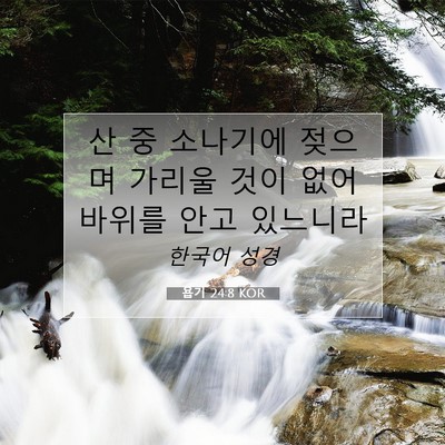 Picture 07 - 욥기 24:8 KOR - 산 중 소나기에 젖으며 가리울 것이 - Bible Verse Picture