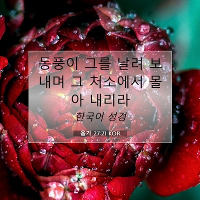 Picture 07 - 욥기 27:21 KOR - 동풍이 그를 날려 보내며 그 - Bible Verse Picture