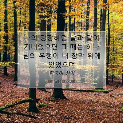 Picture 07 - 욥기 29:4 KOR - 나의 강장하던 날과 같이 지내었으면 - Bible Verse Picture