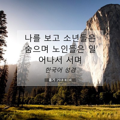 Picture 07 - 욥기 29:8 KOR - 나를 보고 소년들은 숨으며 노인들은 - Bible Verse Picture