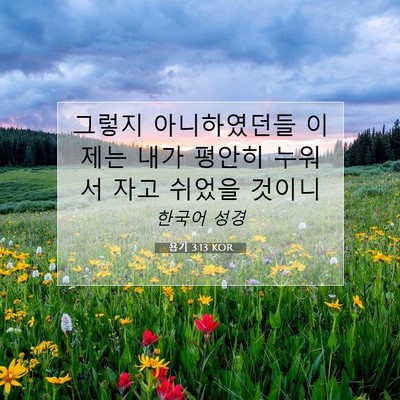 Picture 07 - 욥기 3:13 KOR - 그렇지 아니하였던들 이제는 내가 - Bible Verse Picture
