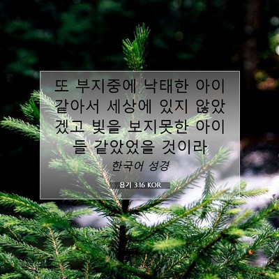 Picture 07 - 욥기 3:16 KOR - 또 부지중에 낙태한 아이 같아서 - Bible Verse Picture