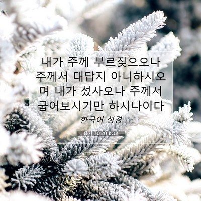 Picture 07 - 욥기 30:20 KOR - 내가 주께 부르짖으오나 주께서 - Bible Verse Picture