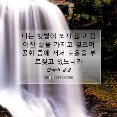 Picture 07 - 욥기 30:28 KOR - 나는 햇볕에 쬐지 않고 검어진 살을 - Bible Verse Picture