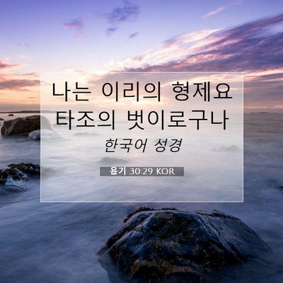 Picture 07 - 욥기 30:29 KOR - 나는 이리의 형제요 타조의 - Bible Verse Picture