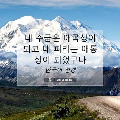 Picture 07 - 욥기 30:31 KOR - 내 수금은 애곡성이 되고 내 피리는 - Bible Verse Picture