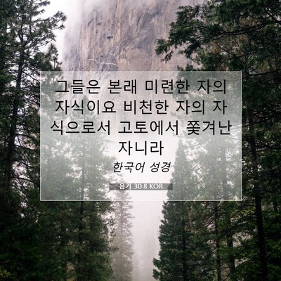 Picture 07 - 욥기 30:8 KOR - 그들은 본래 미련한 자의 자식이요 - Bible Verse Picture
