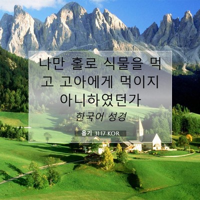 Picture 07 - 욥기 31:17 KOR - 나만 홀로 식물을 먹고 고아에게 - Bible Verse Picture