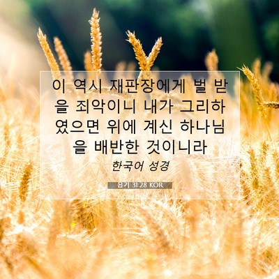 Picture 07 - 욥기 31:28 KOR - 이 역시 재판장에게 벌 받을 - Bible Verse Picture