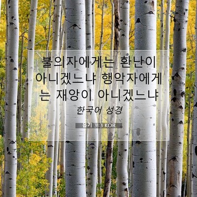 Picture 07 - 욥기 31:3 KOR - 불의자에게는 환난이 아니겠느냐 - Bible Verse Picture